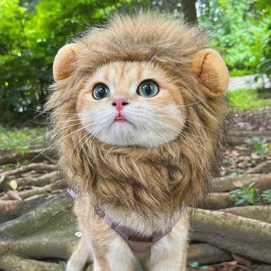 Lion Mane Pet Costume