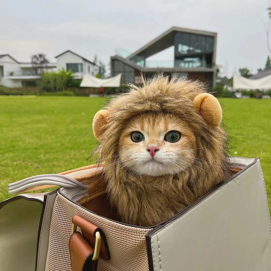 Lion Mane Pet Costume